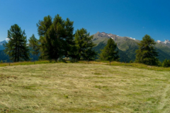 Hochalm, Passeier valley, South Tyrol