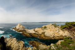 Lobos State Park, California